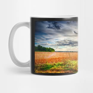 Sunshine and Showers Mug